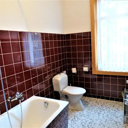 Hotel Buendnerhof Davos