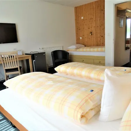 호텔 Buendnerhof 3*