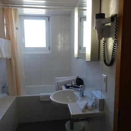 Buendnerhof 3* 다보스