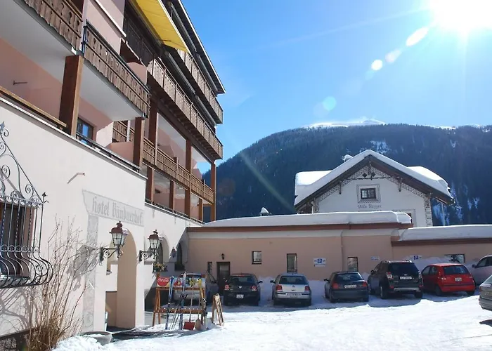 Hotel Buendnerhof 3*