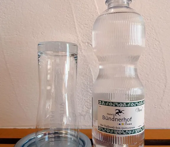 فندق Buendnerhof دافوس